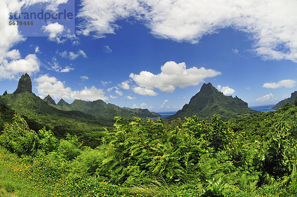 Blick vom Belvedere  Cook's Bay  Opunohu Bay  Moorea  Inseln unter dem Wind  Gesellschaftsinseln  Französisch-Polynesien  Pazifischer Ozean