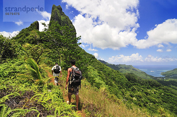 Trekking zum Three-Coconut-Pass  Mount Tohiea  Moorea  Inseln unter dem Wind  Gesellschaftsinseln  Französisch-Polynesien  Pazifischer Ozean