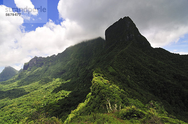 Blick vom Three-Coconut-Pass  Moorea  Inseln unter dem Wind  Gesellschaftsinseln  Französisch-Polynesien  Pazifischer Ozean