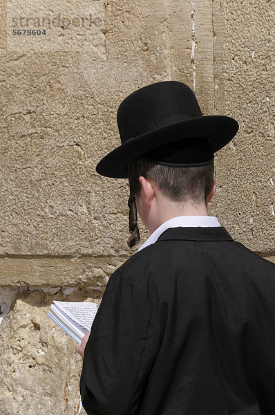 Betender orthodoxer Jude  Klagemauer  Jerusalem  Israel  Naher Osten