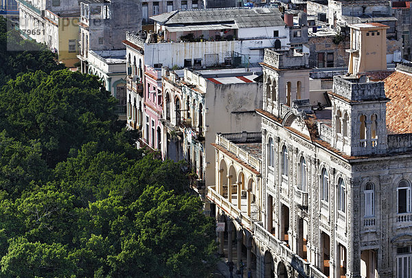 Havanna Hauptstadt Baum Gebäude Ehrfurcht Karibik Mittelamerika Menschenreihe Altstadt UNESCO-Welterbe Monte Prado Prachtstraße Villa