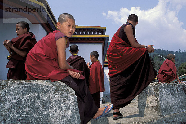 Mönche  tibetischer Buddhismus  Karma-Kagyü-Linie  Kloster Rumtek  bei Gangtok  Sikkim  indischer Himalaya  Indien  Südasien  Asien