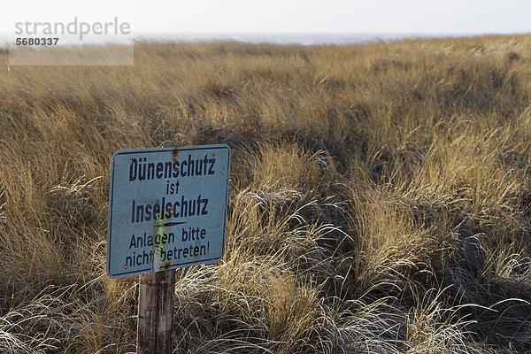 Schild Dünenschutz ist Inselschutz   Hörnum  Sylt  Schleswig-Holstein  Deutschland  Europa