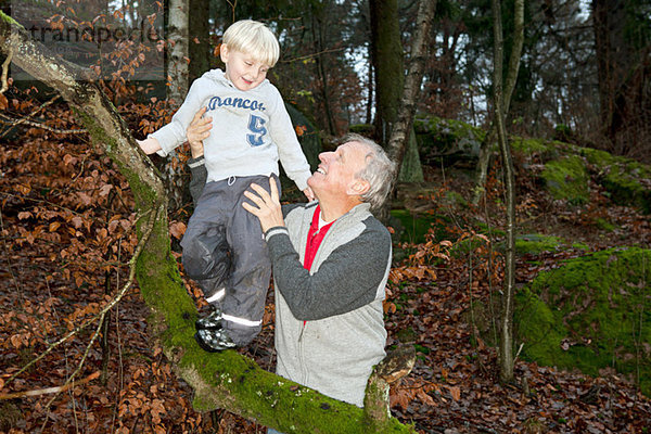 Großvater hält Junge auf Baumzweig