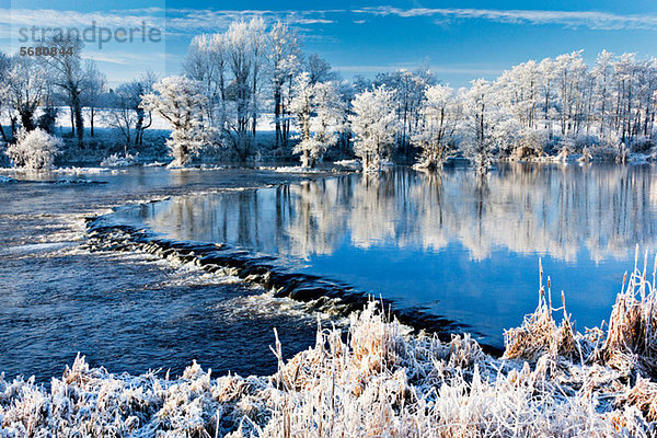 River shannon im Winter  worrels end  castleconnell  county limerick  irland