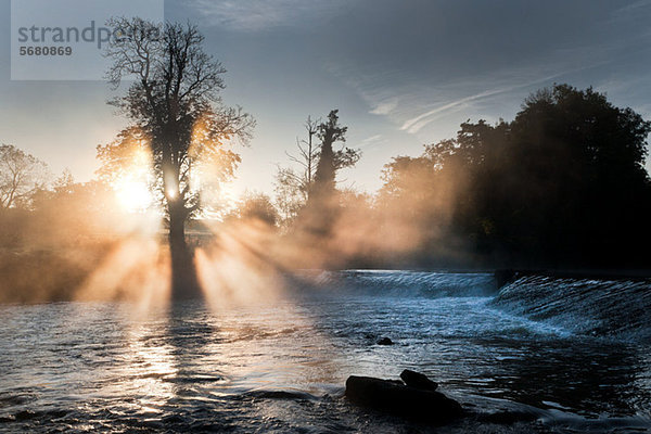 Mulkear Fluss im Nebel  Limerick  Irland