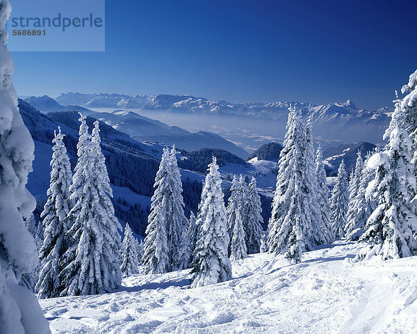 Winterlandschaft in den Alpen  Tirol  Österreich