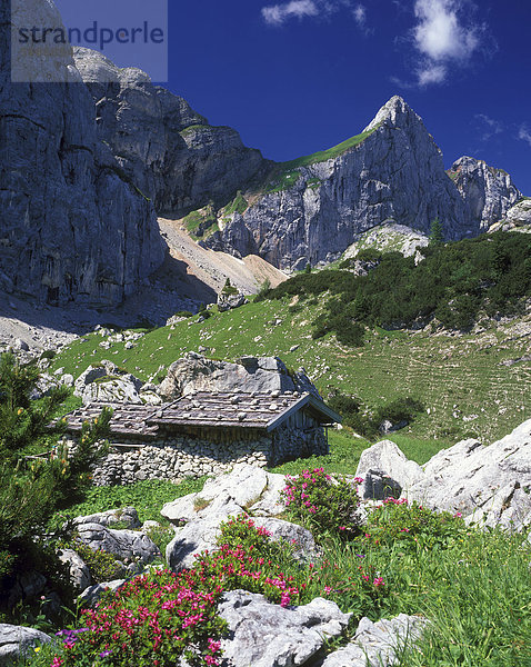 Almhütte im Rofangebirge  Tirol  Österreich