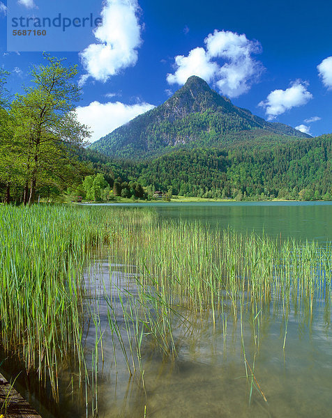 Thiersee am Pendling  Tirol  Österreich