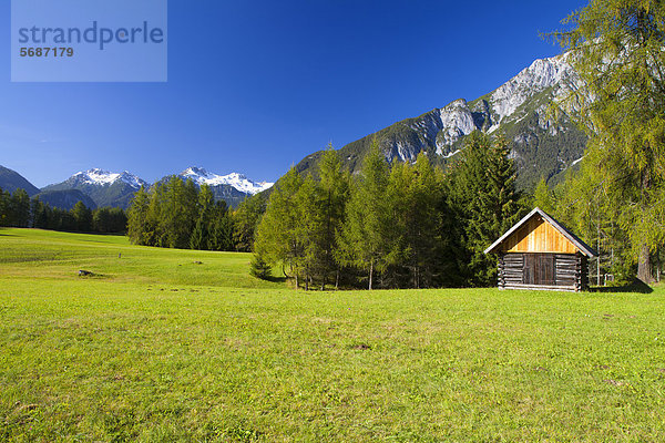 Herbstlandschaft in den Lechtaler Alpen  Österreich