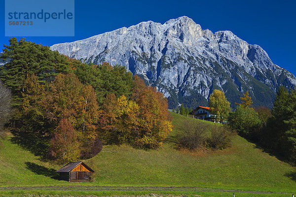 Alpen im Herbst  Wildermieming  Österreich