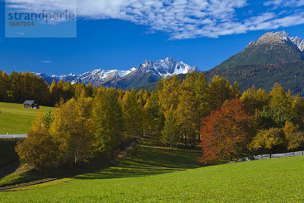 Lechtaler Alpen im Herbst  Obsteig  Österreich