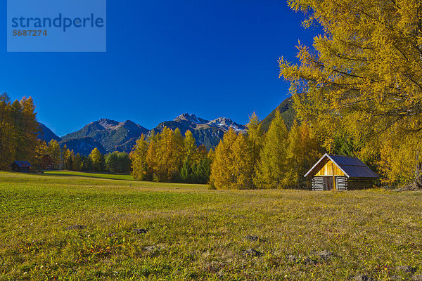 Herbstlandschaft in den Lechtaler Alpen  Österreich