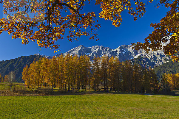 Alpen im Herbst  Mieming  Österreich
