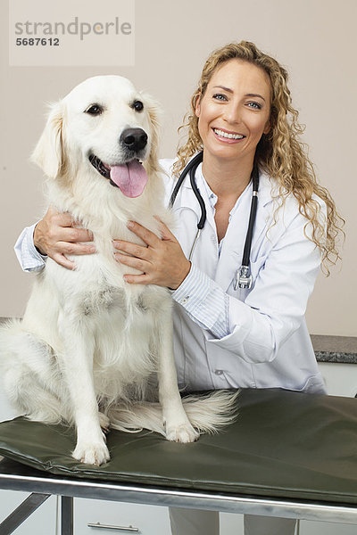 Hund  streicheln  Büro  Tierarzt