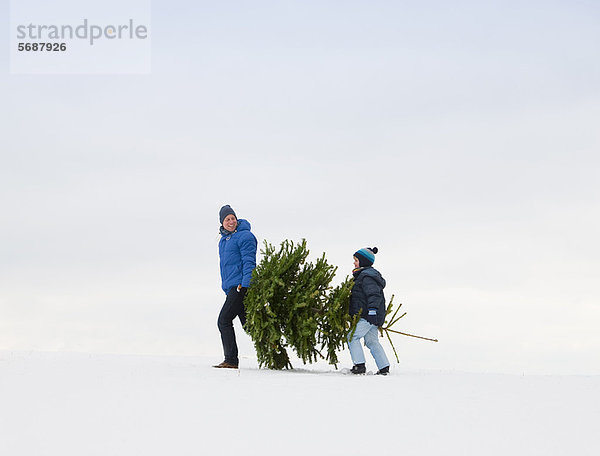 Vater und Sohn mit Weihnachtsbaum