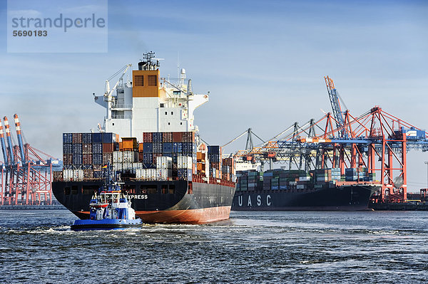 Containerfrachter Rio Grande Express im Waltershofer Hafen  Hamburg  Deutschland  Europa