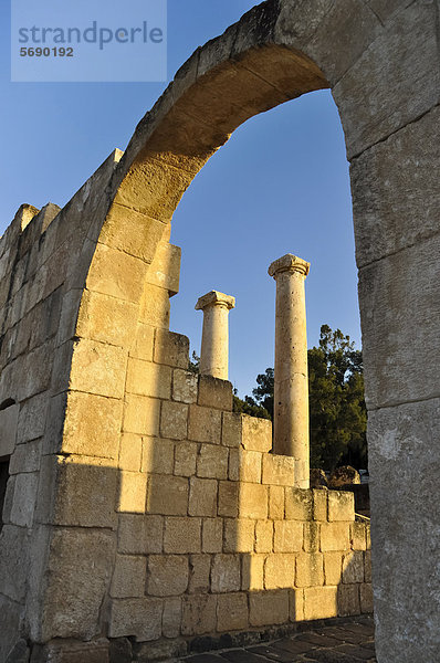 Römisches Amphitheater  archäologische Ausgrabung  Tel Beit She'an oder Tell Beth-Shean  Israel  Naher Osten  Vorderasien