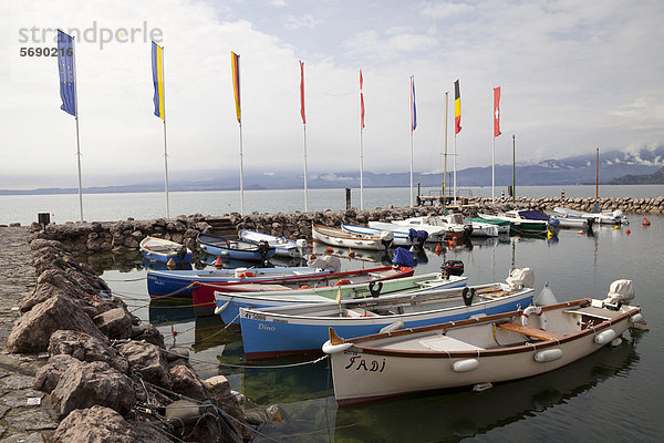 Boote im Hafen  Bardolino  Gardasee  Venetien  Veneto  Italien  Europa  ÖffentlicherGrund