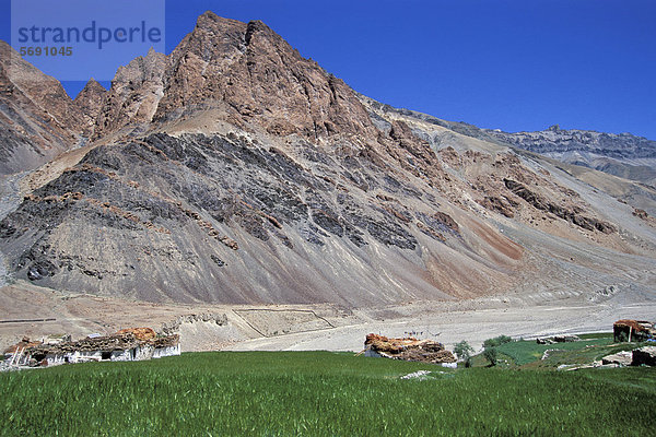 Gebäude Feld Asien Indien Ladakh