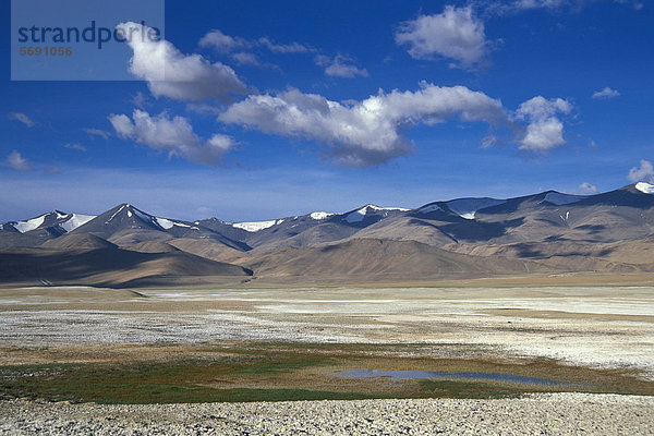 Am hochgelegenen Salzsee Tso Khar oder Tsokhar  Changthang  Ladakh  indischer Himalaya  Jammu und Kaschmir  Nordindien  Indien  Asien