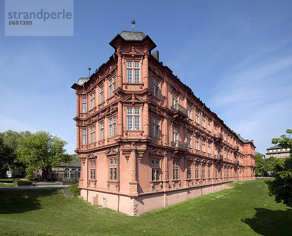 Ehemaliges Kurfürstliches Schloss  Mainz  Römisch-Germanisches Zentralmuseum  Rheinland-Pfalz  Deutschland  Europa  ÖffentlicherGrund