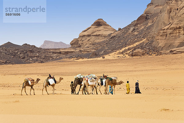 Kamel-Karawane in der libyschen Wüste  Dromedare (Camelus dromedarius)  Akakus Gebirge  Libyen  Sahara  Nordafrika