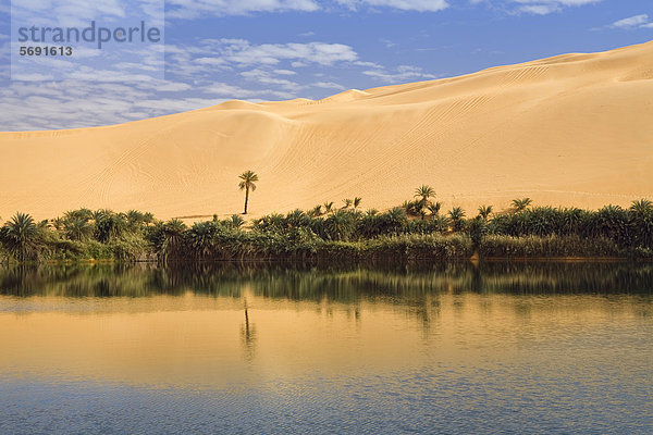 Gabroon-See  Mandara Seen in den Dünen von Ubari  Oase Um el Ma  libysche Wüste  Sahara  Libyen  Afrika
