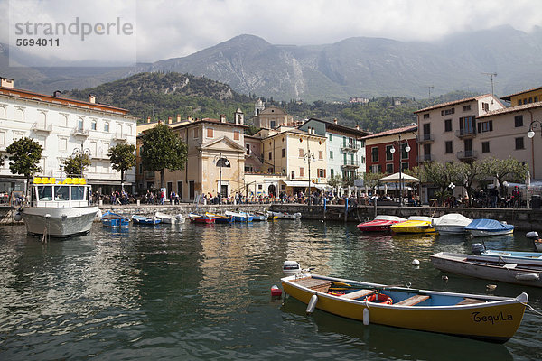 Ortsansicht mit Hafen  Malcesine  Gardasee  Veneto  Venetien  Italien  Europa  ÖffentlicherGrund