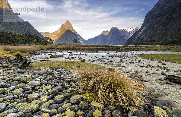 Mitre Peak  Milford Sound  Southland  Südinsel  Neuseeland  Ozeanien