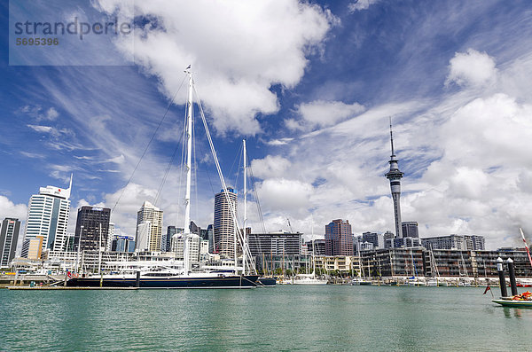 Auckland harbour and skyline  New Zealand  Oceania