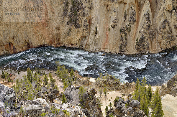 Stromschnellen  Grand Canyon of the Yellowstone River  Blick vom North Rim  Yellowstone National Park  Wyoming  USA