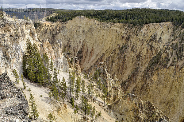 Grand Canyon of the Yellowstone River  Blick vom Lookout Point am North Rim in Richtung Artist Point  Yellowstone National Park  Wyoming  USA