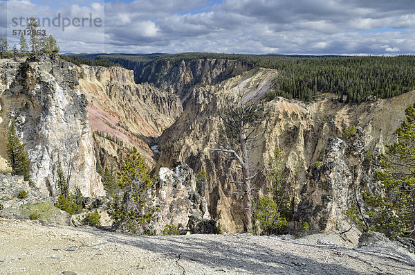Blick in den Grand Canyon of the Yellowstone River  Grand View  North Rim  Yellowstone National Park  Wyoming  USA