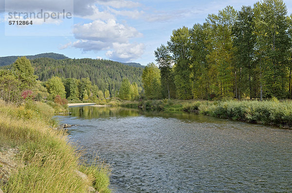 Coeur d'Alene River  Coeur d'Alene National Forest  Idaho  USA