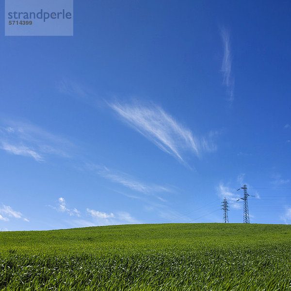 Strommasten in der Landschaft  Auvergne  Frankreich  Europa
