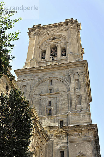 Turm der Kathedrale von Granada  Granada  Andalusien  Spanien  Europa