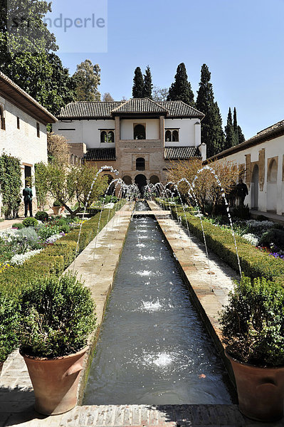 Patio de la Acequia  Alhambra  Granada  Andalusien  Spanien  Europa