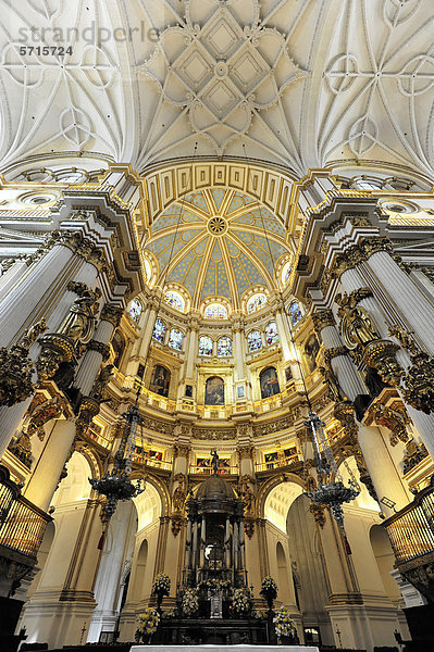 Deckengewölbe und Altarbereich  Kathedrale Santa Maria de la EncarnacÌon  Kathedrale von Granada  Granada  Andalusien  Spanien  Europa