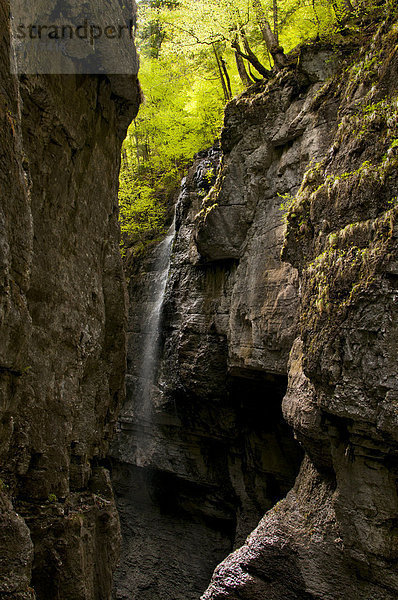 Partnachklamm  Garmisch-Partenkirchen  Bayern  Deutschland  Europa