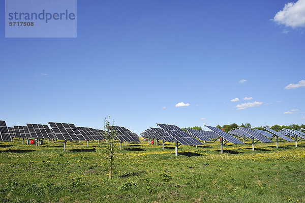 Große Photovoltaikanlage auf einer blühenden Wiese  Oberrüsselbach  Oberfranken  Bayern  Deutschland  Europa