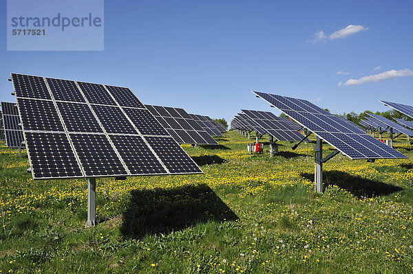 Große Photovoltaikanlage auf einer blühenden Wiese  Oberrüsselbach  Oberfranken  Bayern  Deutschland  Europa