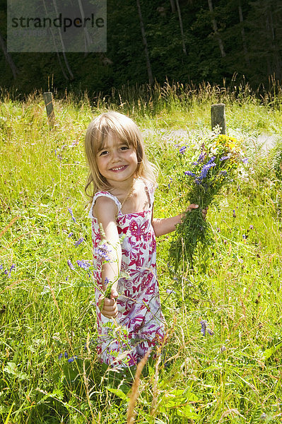 Österreich  Salzburger Land  Mädchen pflückt Blumen auf der Sommerwiese  lächelnd  Portrait