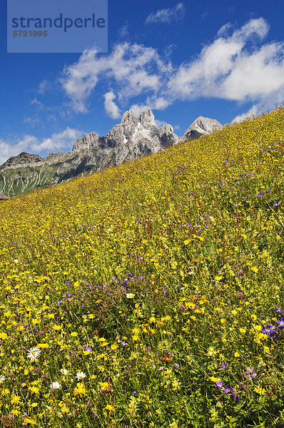 Österreich  Salzburger Land  Blick auf den Bischofsmutze mit Almen im Sommer