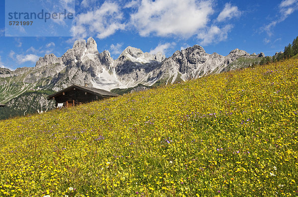 Österreich  Salzburger Land  Blick auf den Bischofsmutze mit Almen im Sommer