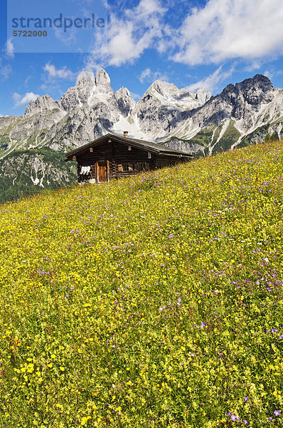 Österreich  Salzburger Land  Blick auf den Bischofsmutze mit Almen im Sommer