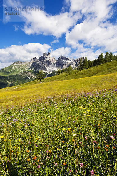 Österreich  Salzburger Land  Blick auf den Bischofsmutze mit Almen im Sommer