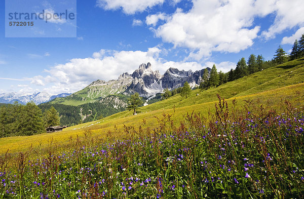 Österreich  Salzburger Land  Blick auf den Bischofsmutze mit Almen im Sommer