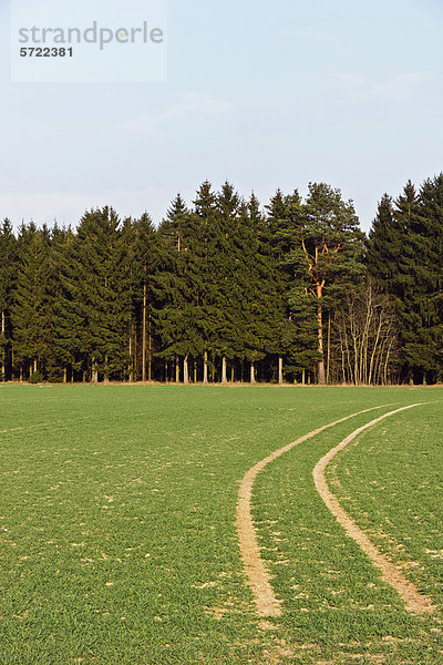 Deutschland  Bayern  Blick auf Felder und Wald