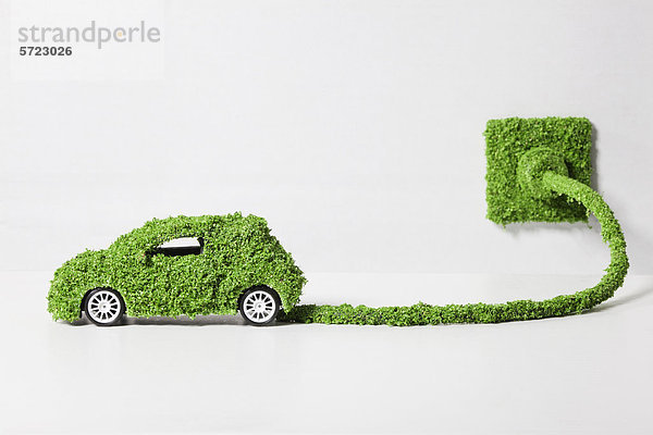 Elektroauto mit Gras bedeckt  an Steckdose angeschlossen  Nahaufnahme